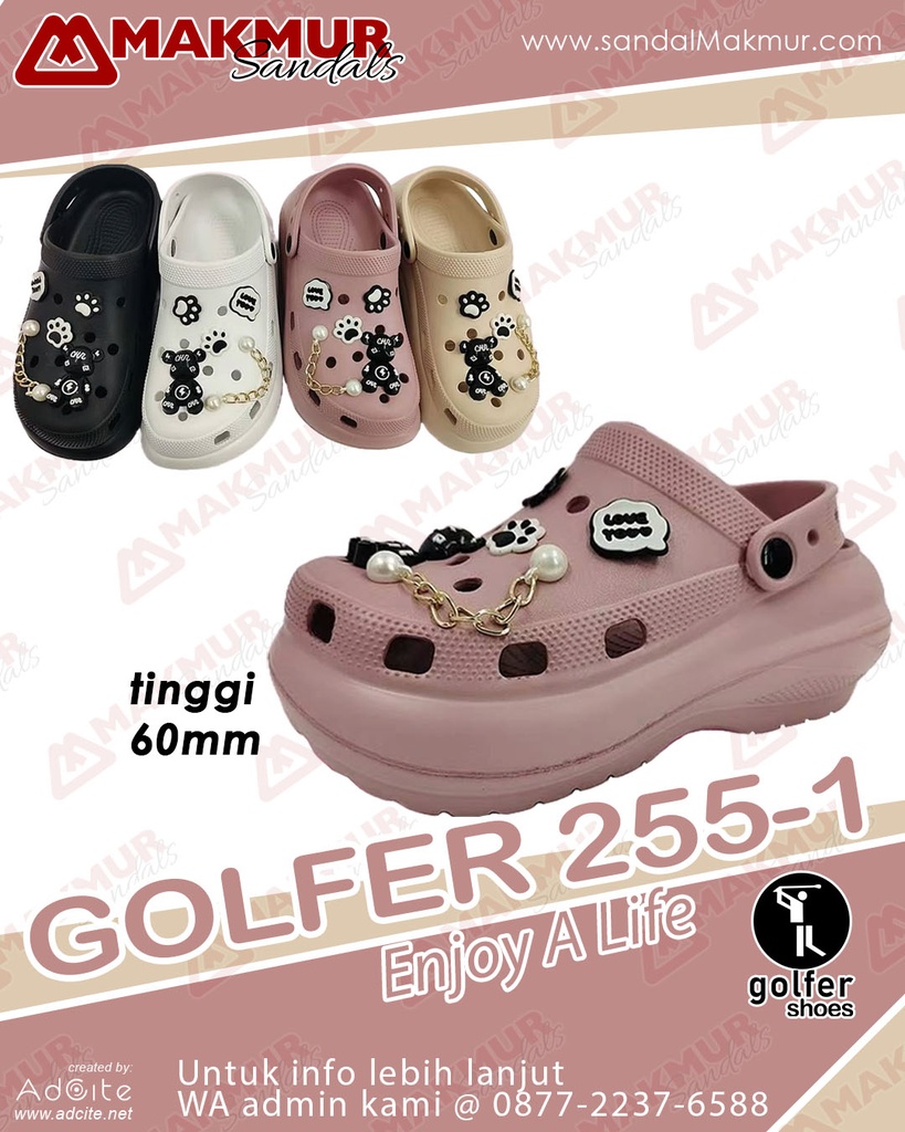 GOLFER 255-1 (36-41)