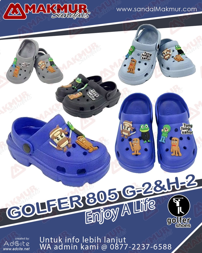 GOLFER 805 H-2 (30-35)