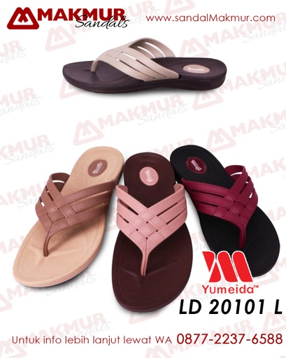 [YMD0137] Yumeida T LD 20101 (L) ( 37-41 )