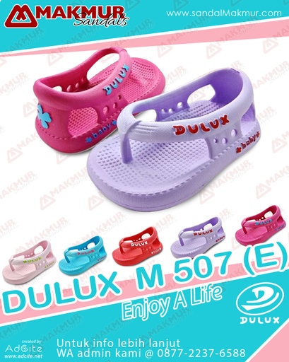 [HWI1064] Dulux M 507 (E) (20-25)