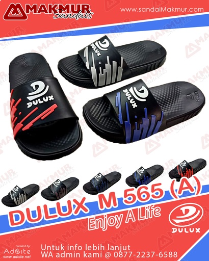 [HWI1440] Dulux M 565 (A) (38-43)