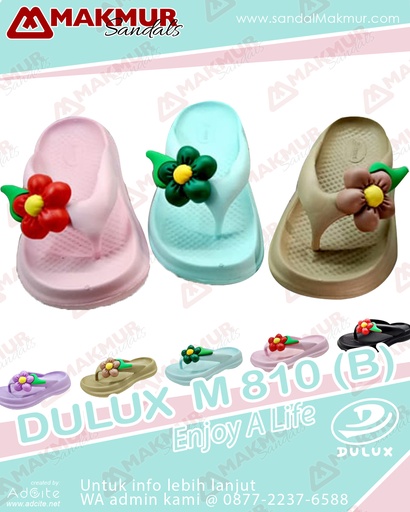 [HWI1465] Dulux M 810 (B) (36-40)