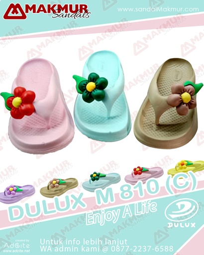 [HWI1466] Dulux M 810 (C) (30-35)