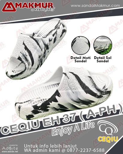 [CQU0287] CEQIU EH37A (PH) (38-43)
