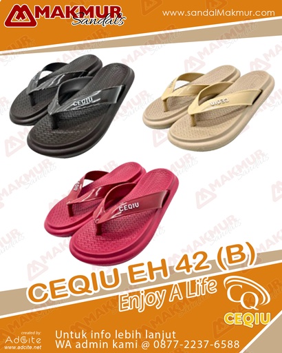 [CQU0336] CEQIU EH42B (36-41)
