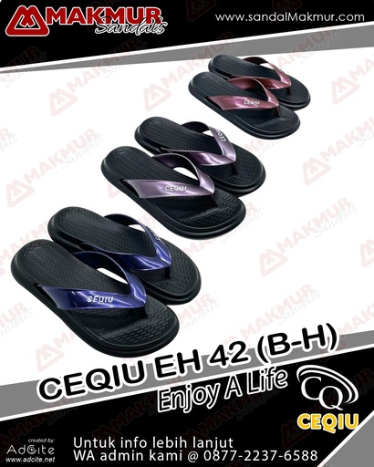 [CQU0360] CEQIU EH42B-H (36-41)