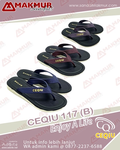 [CQU0370] CEQIU CQ 117 (B) (36-40)