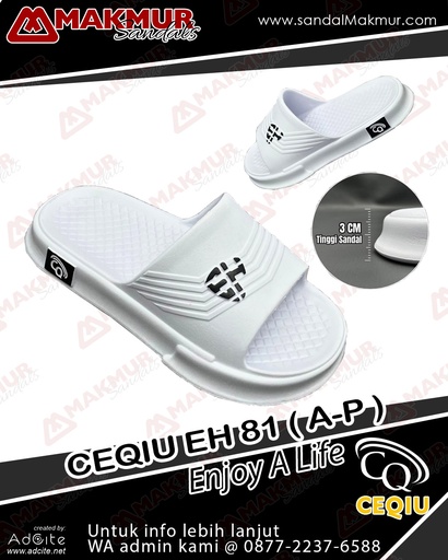 [CQU0399] CEQIU EH81A-P (38-43)