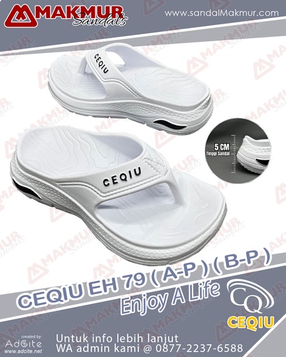 [CQU0409] CEQIU EH79B-P (36-41)