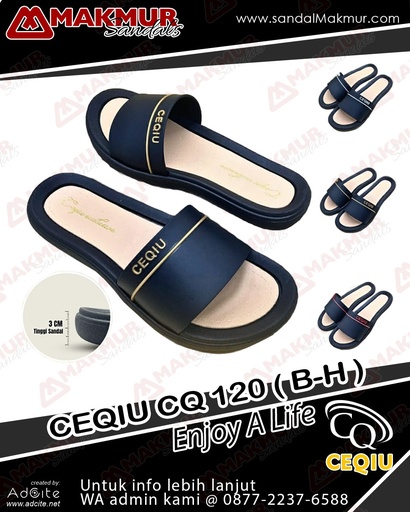 [CQU0420] CEQIU CQ 120 (B) [Htm] (36-40)
