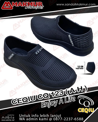 [CQU0410] CEQIU CQ 123 (A) [Htm] (38-43)