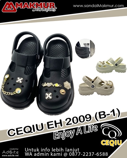 [CQU0471] CEQIU EH2009B-1 (36-40)