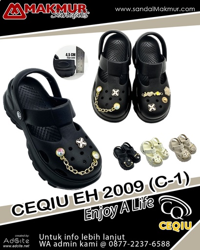 [CQU0472] CEQIU EH2009C-1 (30-35)