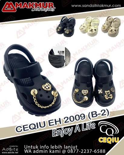 [CQU0478] CEQIU EH2009B-2 (36-40)