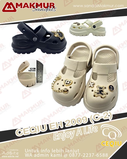 [CQU0479] CEQIU EH2009C-2 (30-35)
