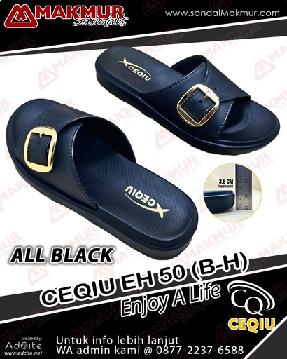 [CQU0484] CEQIU EH50B-H (36-41)