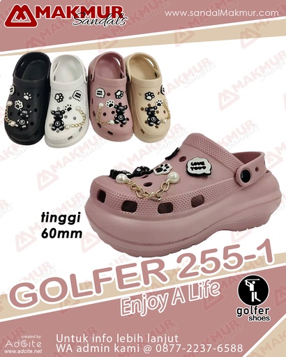 [GOL0226] GOLFER 255-1 (36-41)