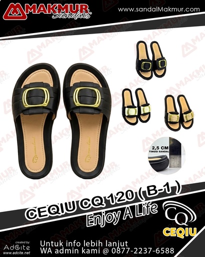 [CQU0638] CEQIU CQ 120 (B-1) (36-40)